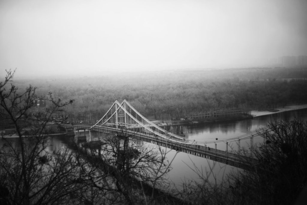 Photo miles bridges mugshot